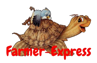 Image: https://us.v-cdn.net/6025126/uploads/editor/c1/6mn7rwm5cocd.png