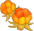 Image: https://us.v-cdn.net/6025126/uploads/editor/c4/2oxaktpjkyec.png