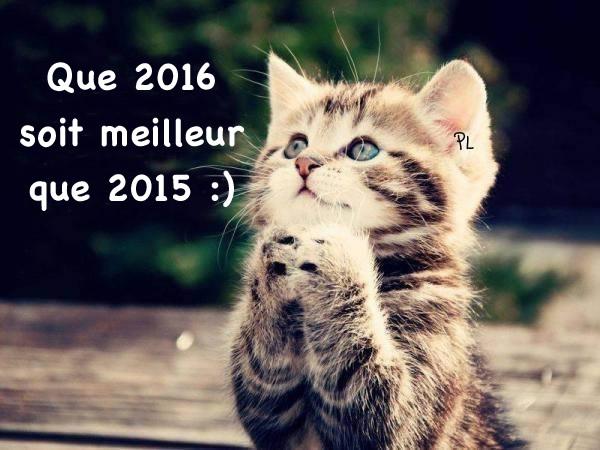 Image: https://us.v-cdn.net/6025126/uploads/editor/d5/9x8bmibdu5v2.jpg