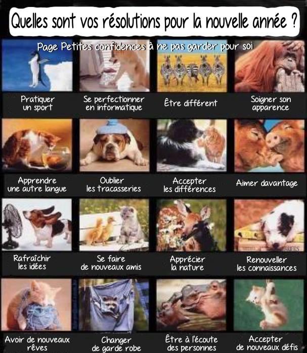 Image: https://us.v-cdn.net/6025126/uploads/editor/dh/wlha5xw0ynkz.jpg