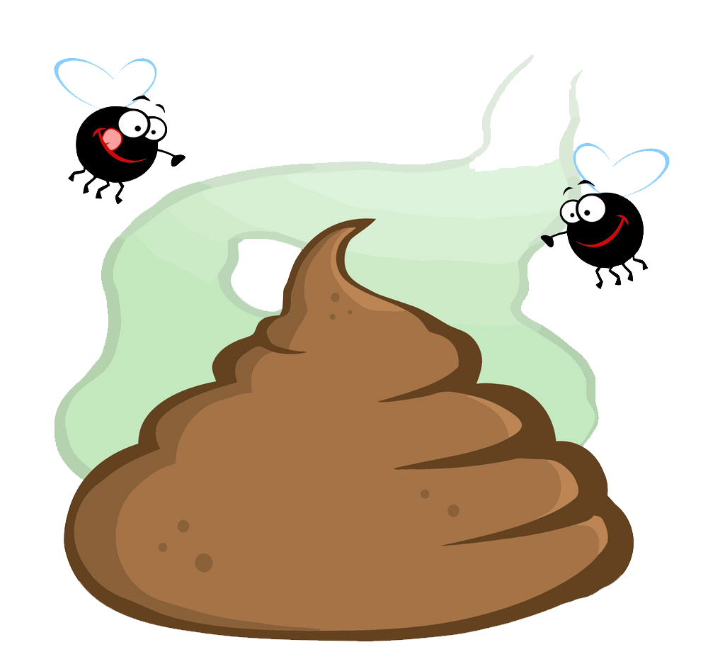 Image: https://us.v-cdn.net/6025126/uploads/editor/f2/ki9vrwp8udia.png