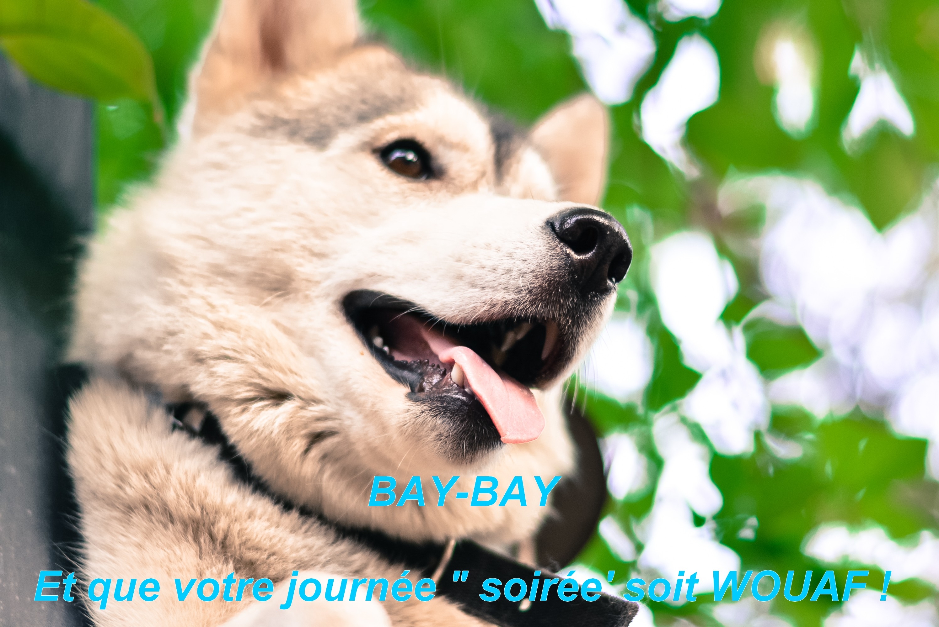 Image: https://us.v-cdn.net/6025126/uploads/editor/gt/dxhrpf2aq8ae.jpeg