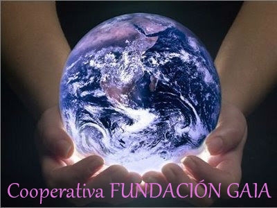 Image: https://us.v-cdn.net/6025126/uploads/editor/hv/2e6acepn3na1.jpg