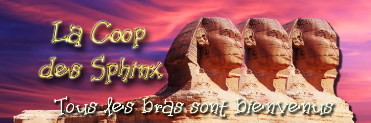 Image: https://us.v-cdn.net/6025126/uploads/editor/mx/pbho9yqzx4g4.png