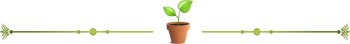 Image: https://us.v-cdn.net/6025126/uploads/editor/q4/puxd2wbqni61.png