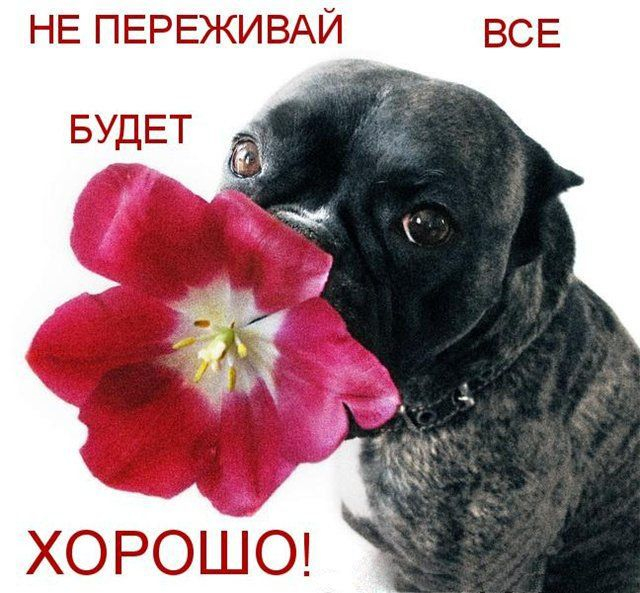 Image: https://us.v-cdn.net/6025126/uploads/editor/qw/5bn84u2bv07c.jpg