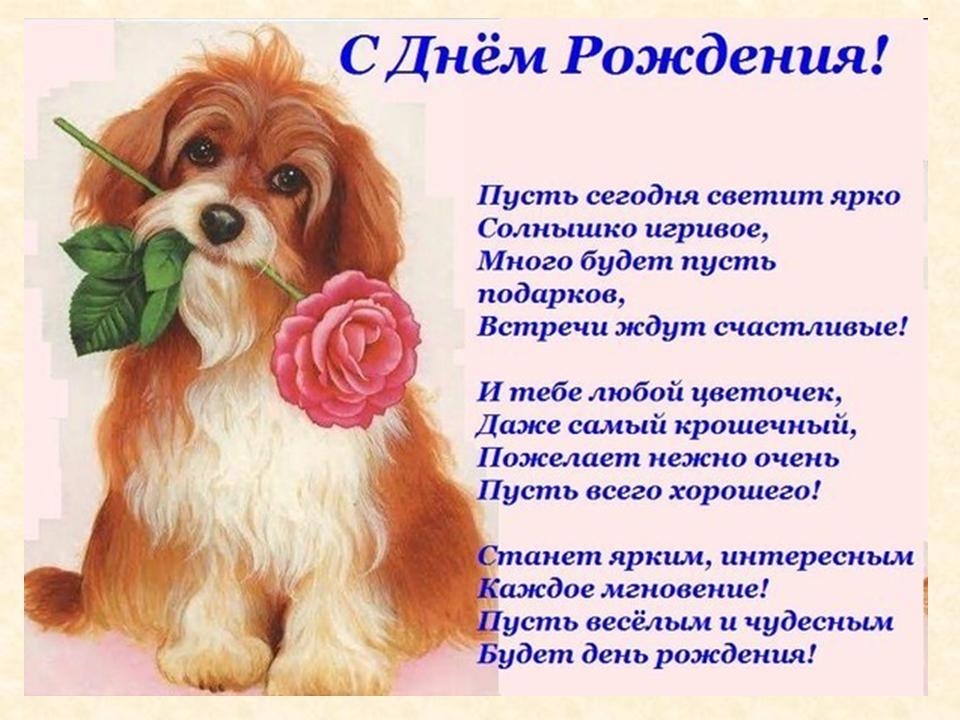 Image: https://us.v-cdn.net/6025126/uploads/editor/qw/j7mtnlyi3j1n.jpg