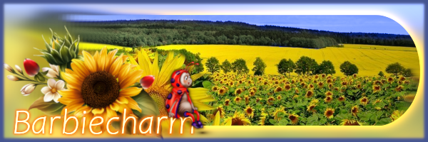 Image: https://us.v-cdn.net/6025126/uploads/editor/sw/zcnjxo79mzwq.png