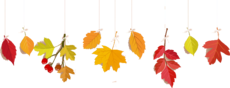 Image: https://us.v-cdn.net/6025126/uploads/editor/t4/6nkcy4gwervn.png