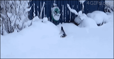 Image: https://us.v-cdn.net/6025126/uploads/editor/u0/62h2ee2olp8k.gif
