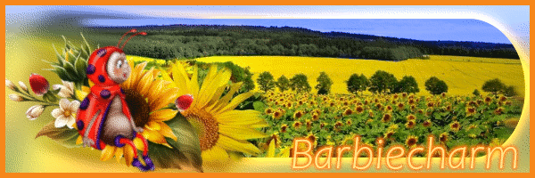 Image: https://us.v-cdn.net/6025126/uploads/editor/vw/bqj4v3qfidb1.gif