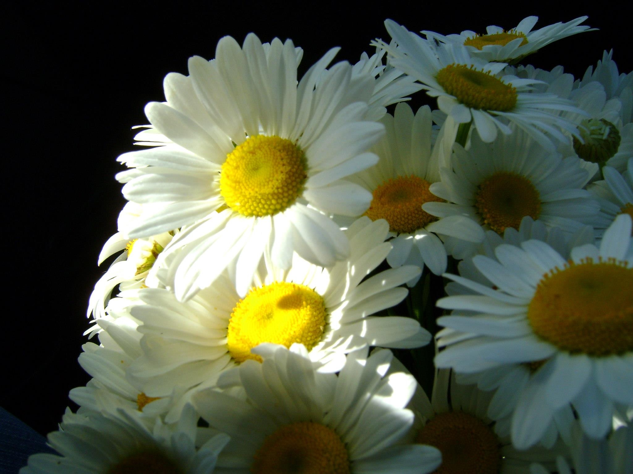 Image: https://us.v-cdn.net/6025126/uploads/editor/x9/5geolxh51ixw.jpg