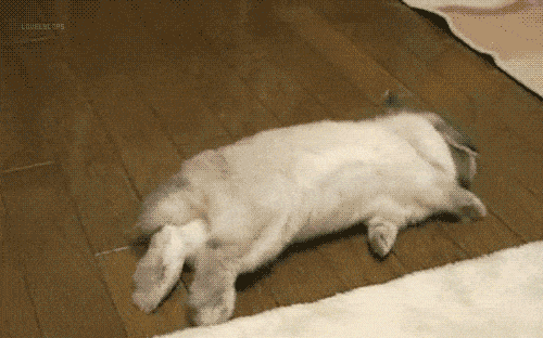 Image: https://us.v-cdn.net/6025126/uploads/editor/zc/okdbxzay52f6.gif