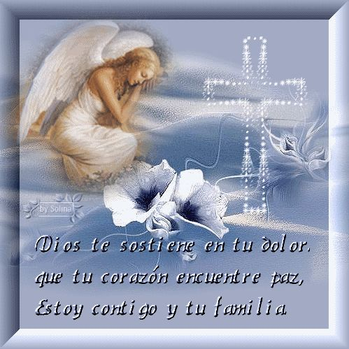 Image: https://us.v-cdn.net/6025126/uploads/editor/ze/7t3libfo8q25.jpg