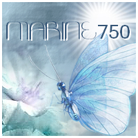 Marine750 (FR1)