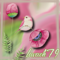 lavach79 (FR1)