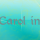 CAROL IN (FR1)