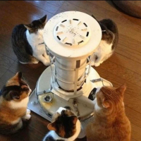 wakuwakuナヴィー (JP1)