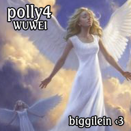 polly4 (DE1)