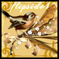 flipside4 (FR1)