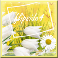 flipside4 (FR1)