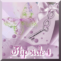 flipside4 (FR1)