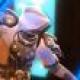 windwalker1