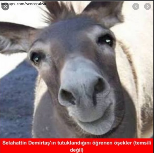 Image: https://us.v-cdn.net/6025127/uploads/editor/5c/ah9rgnofr8br.png