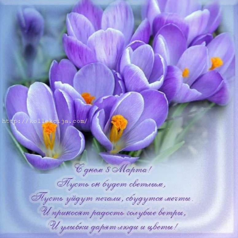 Image: https://us.v-cdn.net/6025127/uploads/editor/7q/h6t1iu0521ge.jpg