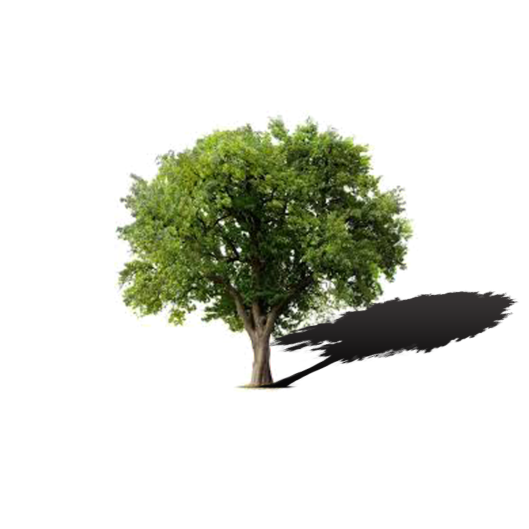 Image: https://us.v-cdn.net/6025127/uploads/editor/7t/ca9r8nxzmc8f.png