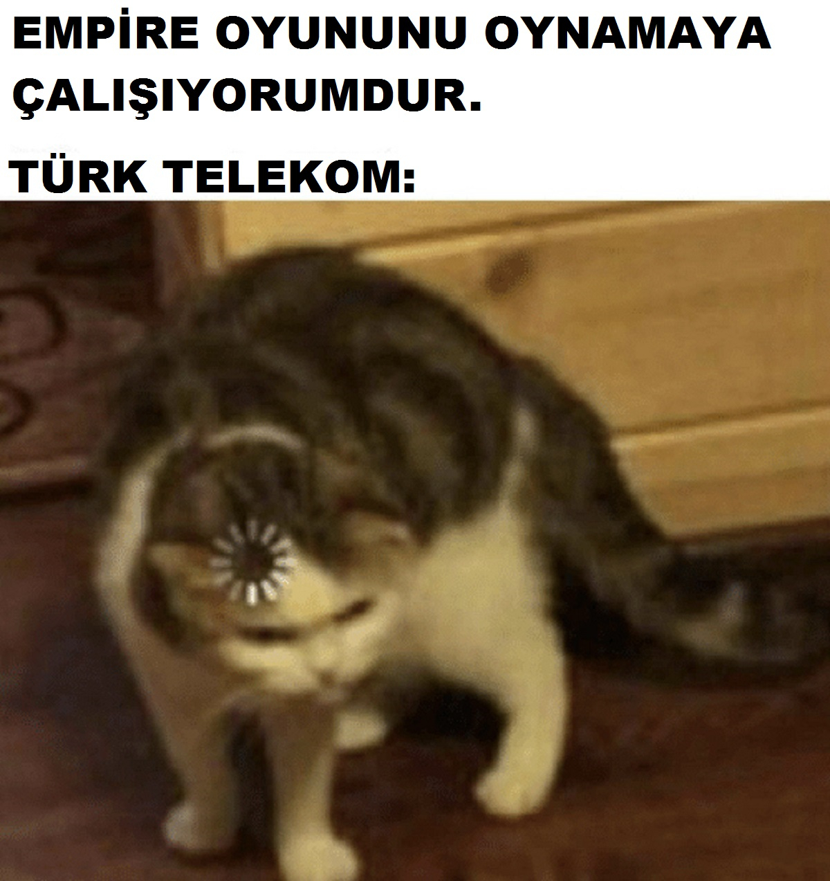 Image: https://us.v-cdn.net/6025127/uploads/editor/cr/e9zngvpp594s.jpg