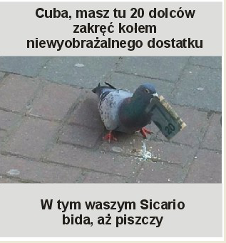 Image: https://us.v-cdn.net/6025127/uploads/editor/df/xgzg08vafzak.png