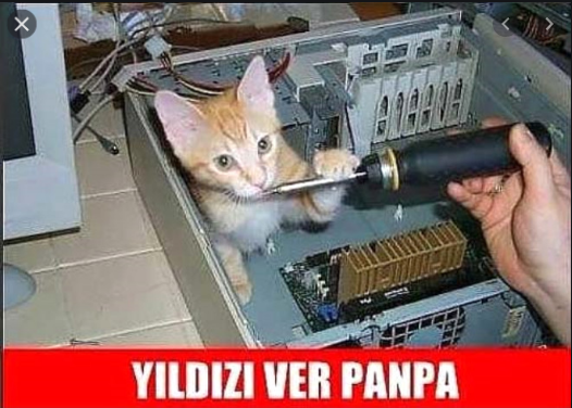 Image: https://us.v-cdn.net/6025127/uploads/editor/fn/9t00gexdmex8.png