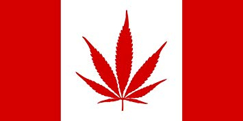 Image: https://us.v-cdn.net/6025127/uploads/editor/l6/j10e12ro2fp7.jpg