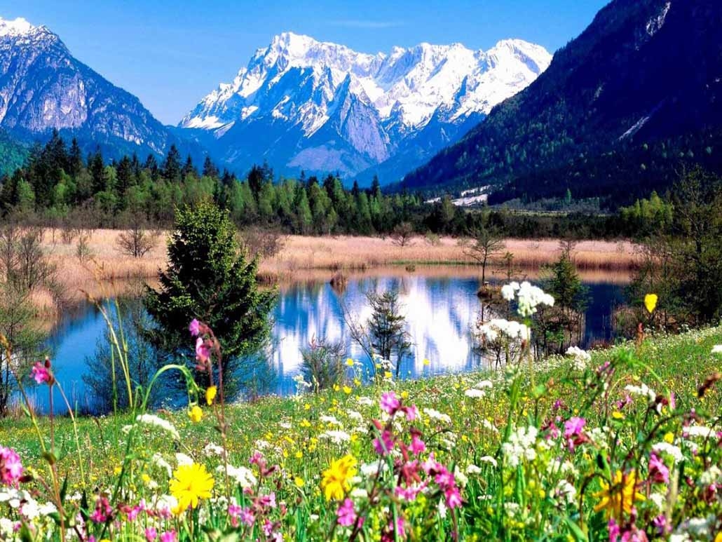 Image: https://us.v-cdn.net/6025127/uploads/editor/lc/oelnph4wttt3.jpg