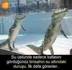 Image: https://us.v-cdn.net/6025127/uploads/editor/mn/y5pxavtyww3j.jpg
