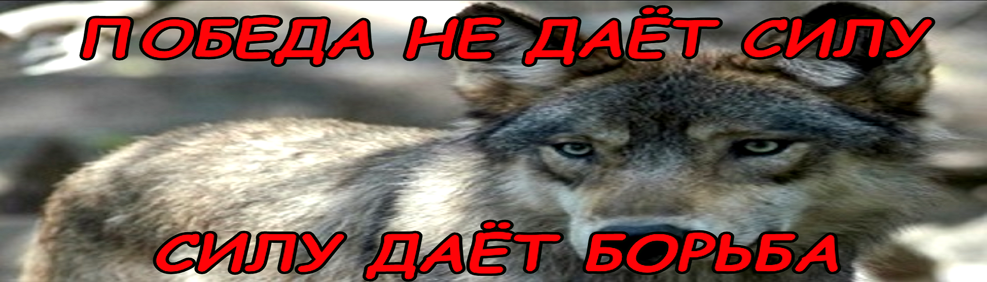 Image: https://us.v-cdn.net/6025127/uploads/editor/qj/2bi11hteb54h.png