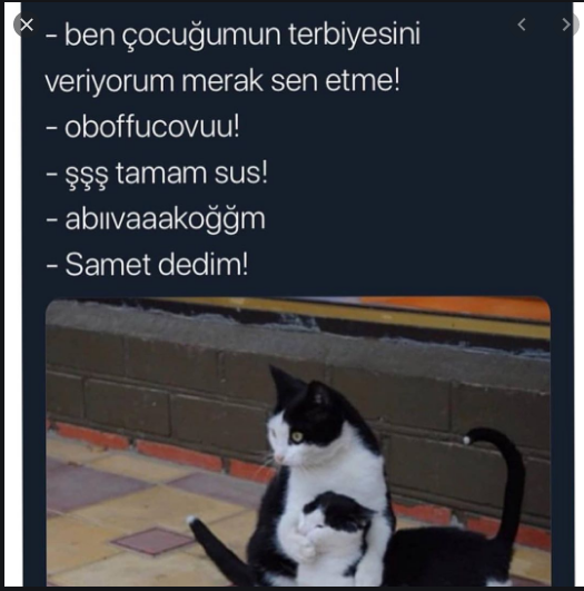 Image: https://us.v-cdn.net/6025127/uploads/editor/wx/ckbilc4gtlkk.png