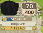 ninja vert (FR1)