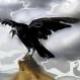Munin Corax (DE1)