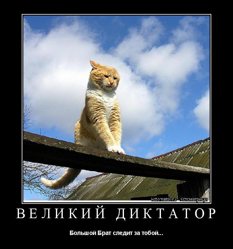 Image: https://us.v-cdn.net/6025129/uploads/editor/2p/uif6frpfygsf.jpg