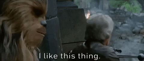 0kzcwhxpqp73.gif