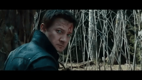 j828rcjwcnib.gif