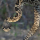 Redneck_Rampage