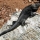 blackiguana