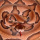 Copperhead1