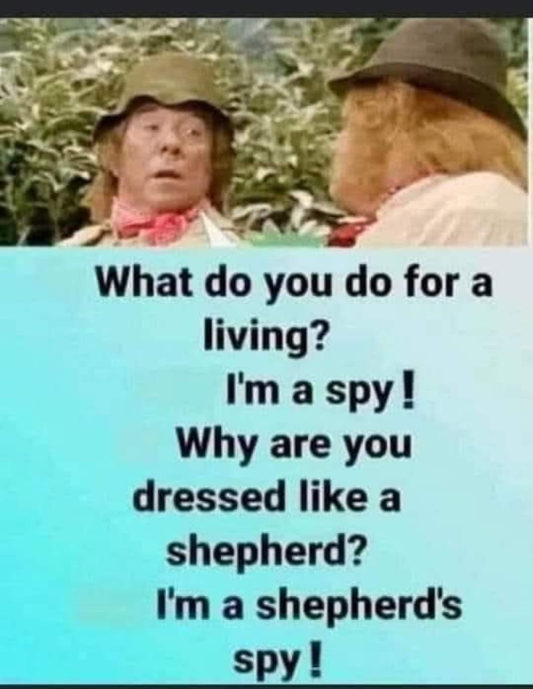 Two people are outdoors, wearing hats and coats. Text overlay reads: "What do you do for a living? I'm a spy! Why are you dressed like a shepherd? I'm a shepherd's spy!"
