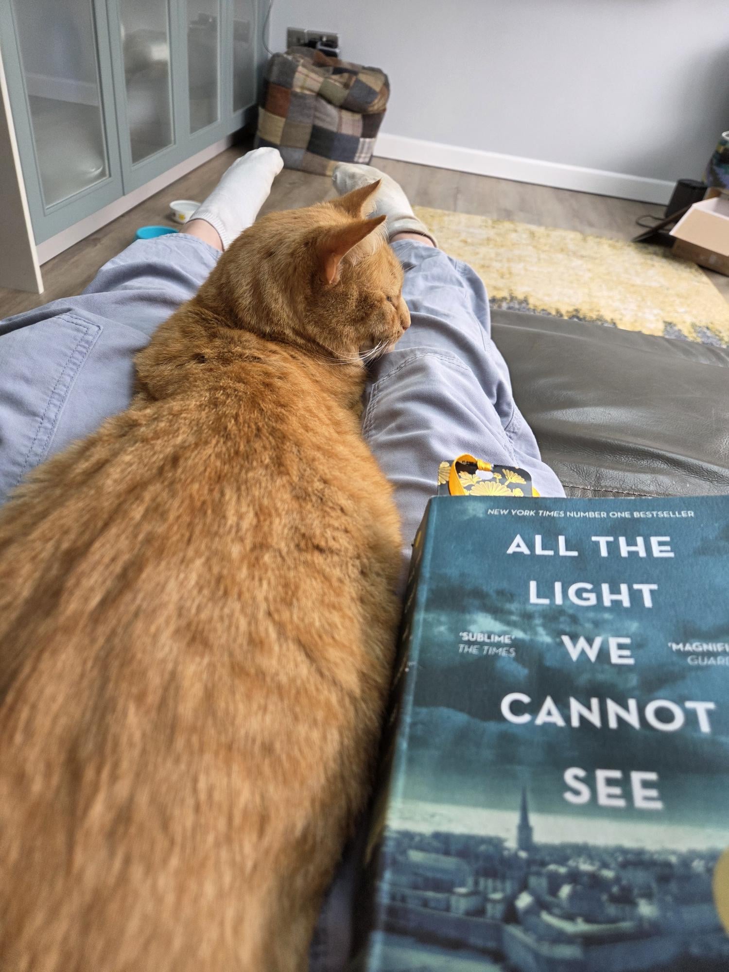 A ginger cat sits on Lucy's legs. There is a book next to the cat