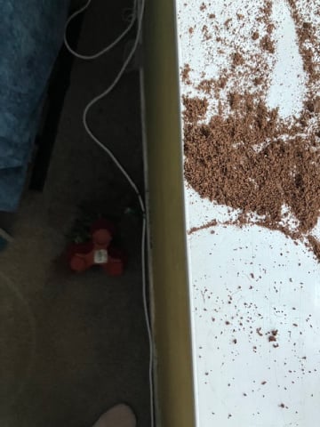 Grrrrrrr 14th Feb 26.jpeg