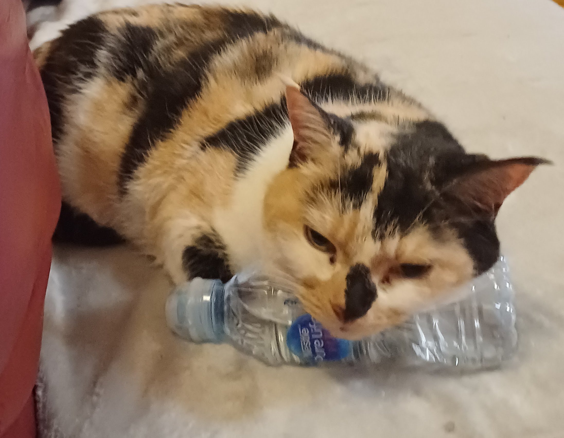 20251126_214015 (1).jpg